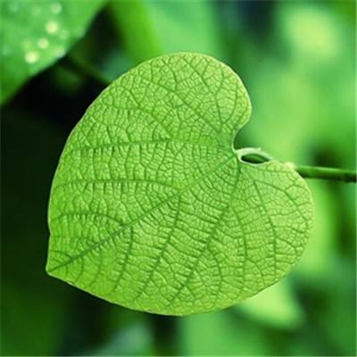 群侠挂机果盘手游下载
